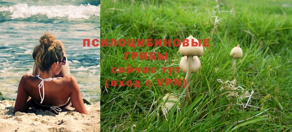 индика Алексеевка