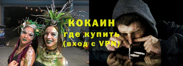 индика Алексеевка