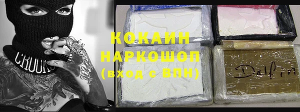 индика Алексеевка