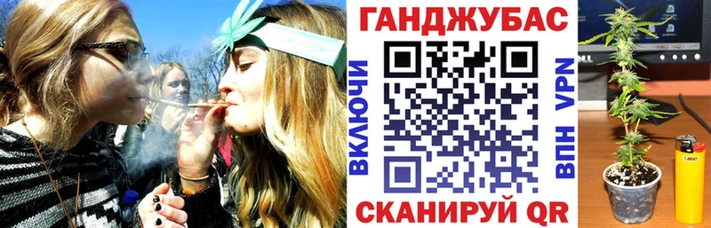 что такое наркотик  ссылка на мегу маркетплейс  Бошки марихуана White Widow  Елизово 
